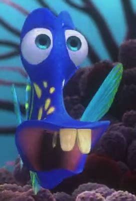 fish with braces finding nemo|Finding Nemo